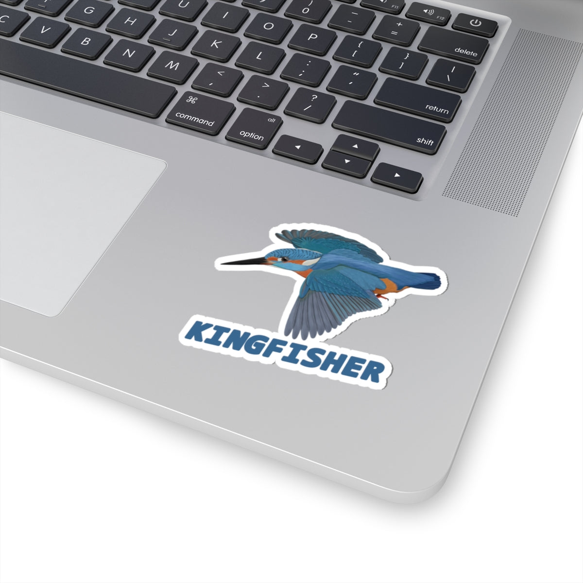 Kingfisher Sticker Bird Lover & Bird Watcher
