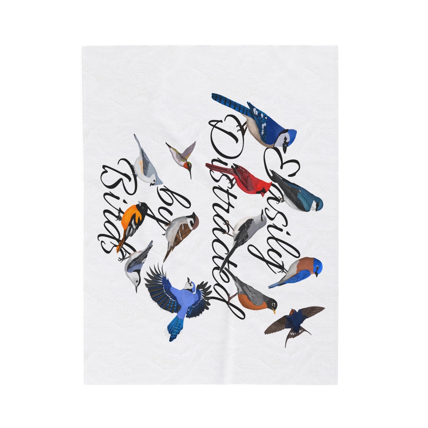 Easily Distracted by Birds Blue Jay Cardinal Robin Bluebird Hummingbird Oriole Backyard Birds Velveteen Plush Blanket White