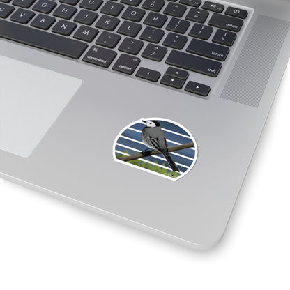 Wagtail Bird Sticker