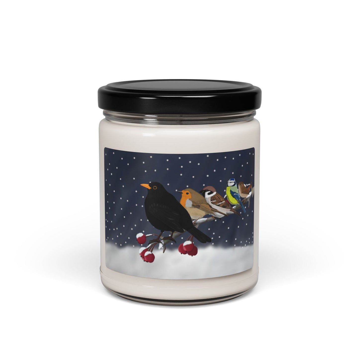 Blackbird European Robin Wren on a Winter Branch Christmas Bird Art Scented Soy Candle, 9oz