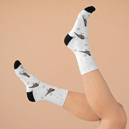 American Robin Socks White Bird Socks for Bird Lovers One Size