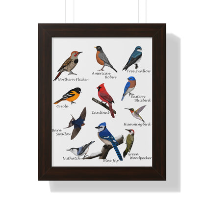 Backyard Birds Blue Jay Robin Cardinal Nuthatch Oriole Framed Poster