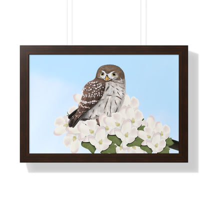 Little Owl Spring Blossoms Bird Framed Poster