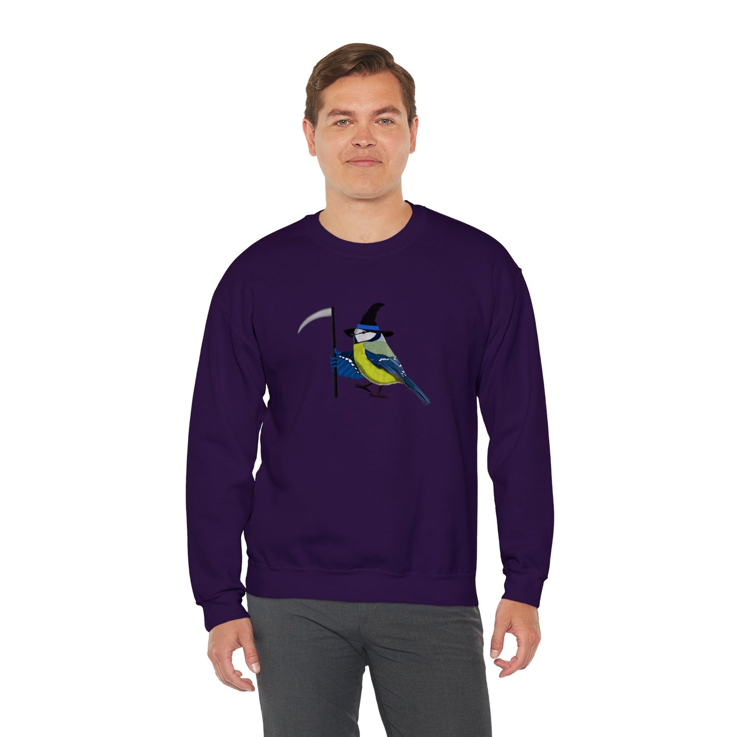 Blue Titmouse Halloween Birds Witch Birdwatcher Sweatshirt