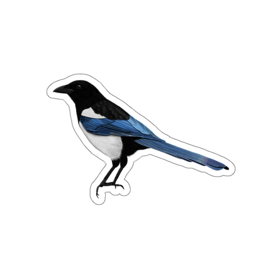 Magpie Bird Kiss-Cut Sticker