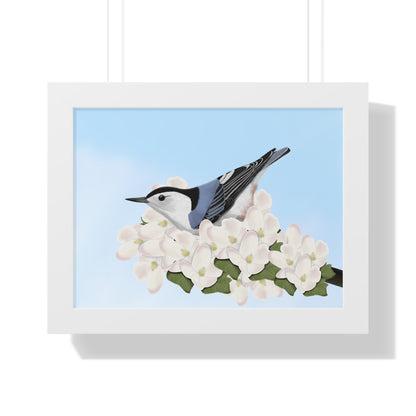 Nuthatch Spring Blossoms Bird Framed Poster