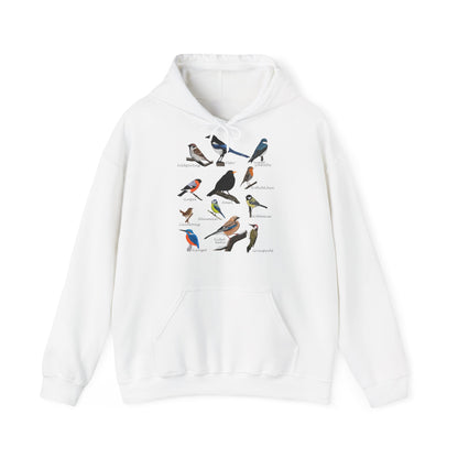 Gartenvögel Vogel Hoodie - Amsel Rotkehlchen Blaumeise Kapuzenpullover für Vogelbeobachter & Naturliebhaber mit Vogelmotiv