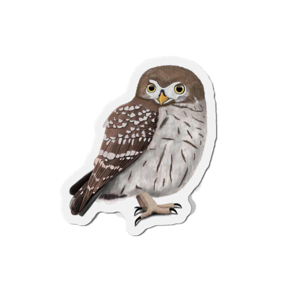 Little Owl Bird Magnet