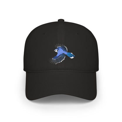 Blue Jay Hat – black, One size, Twill