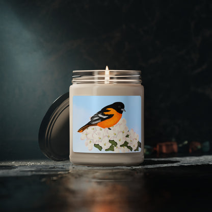 Baltimore Oriole Bird Art Scented Soy Candle, 9oz