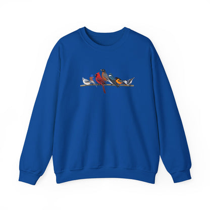 Birds on a Branch Robin Cardinal Tree Swallow Bluebird Oriole Bird Birding & Birdwatching Sweatshirt