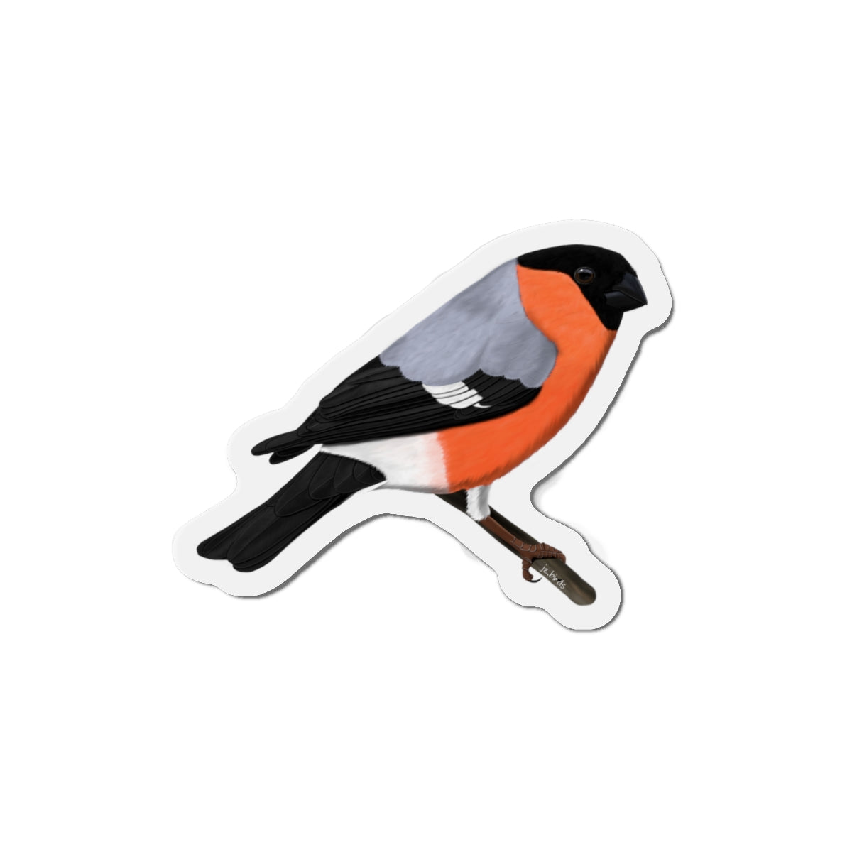 Bullfinch Bird Magnet