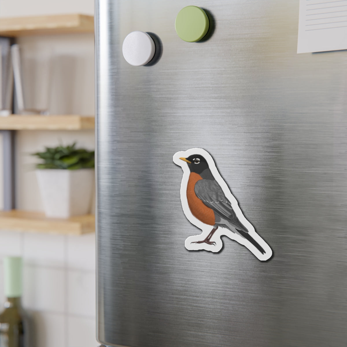 Robin Bird Magnet