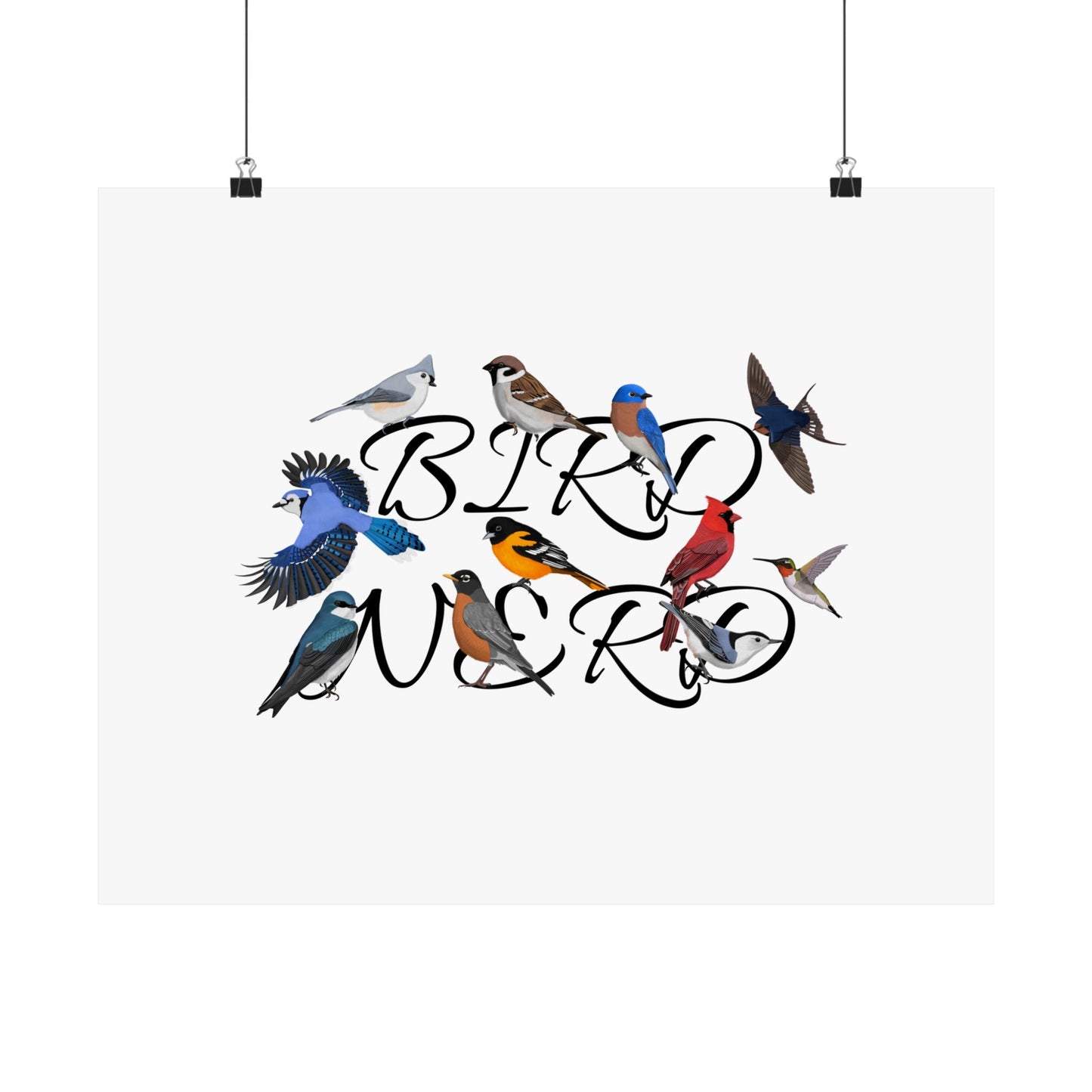 Bird Nerd Robin Cardinal Blue Jay Bird Birding Matte Poster