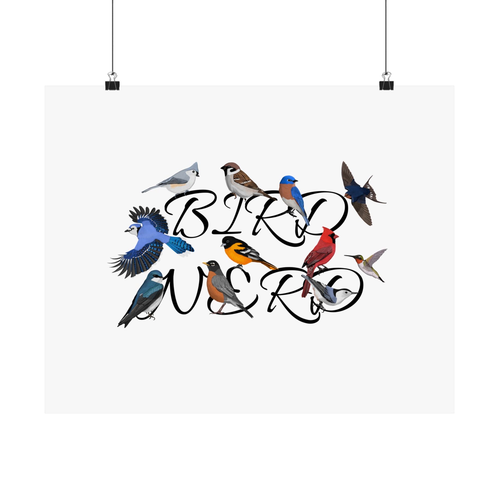 Blue Jay, Cardinal and Robin Poster – bird posters Home & Living style