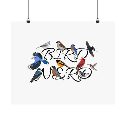 Bird Nerd Robin Cardinal Blue Jay Bird Birding Matte Poster