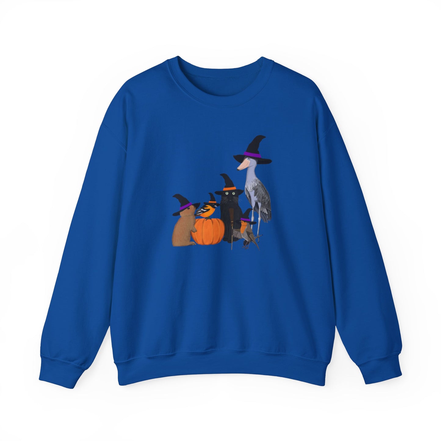 Robin Shoebill Oriole Rabbit with Cat Halloween Birds Sweatshirt