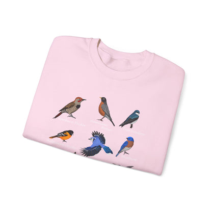 Blue Jay Cardinal Oriole Robin Hummingbird Birding & Birdwatching Bird Sweatshirt