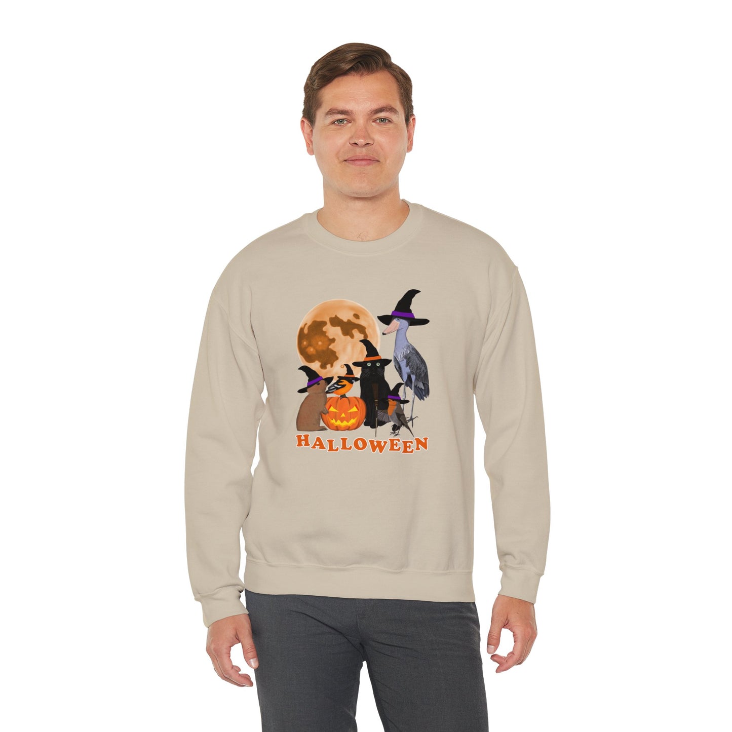 Oriole Robin Shoebill Rabbit with Cat and Bunny Halloween Bird Sweatshirt