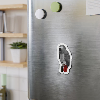 Grey Parrot Bird Magnet