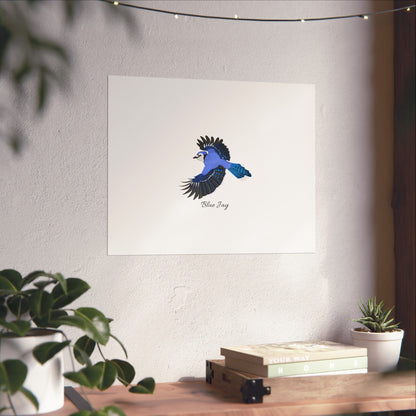 Blue Jay Bird Birding Matte Poster