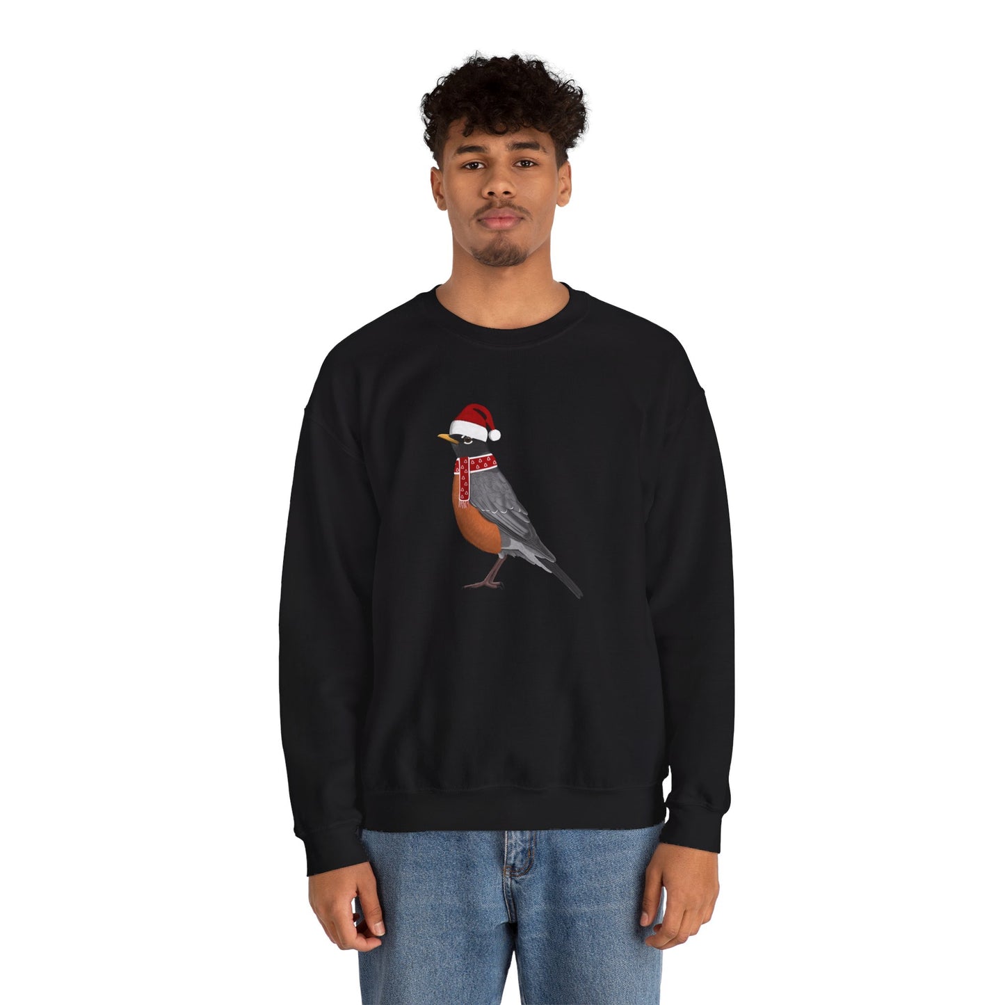 Robin with Christmas Hat Bird Birdwatcher Sweatshirt