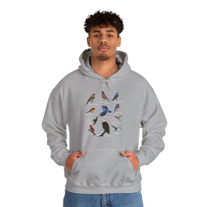 Blue Jay Cardinal Hummingbird Bald Eagle Robin Bird Hoodie