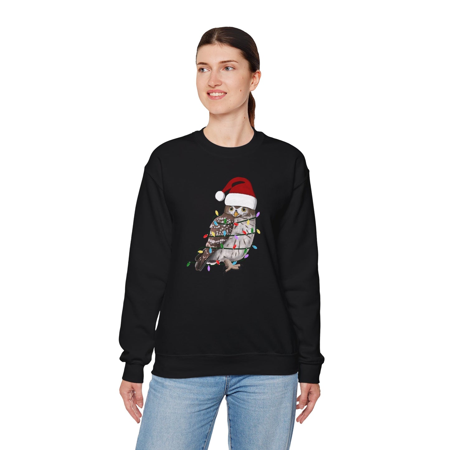 Owl with Fairy Lights Santa Claus Christmas Bird Sweatshirt