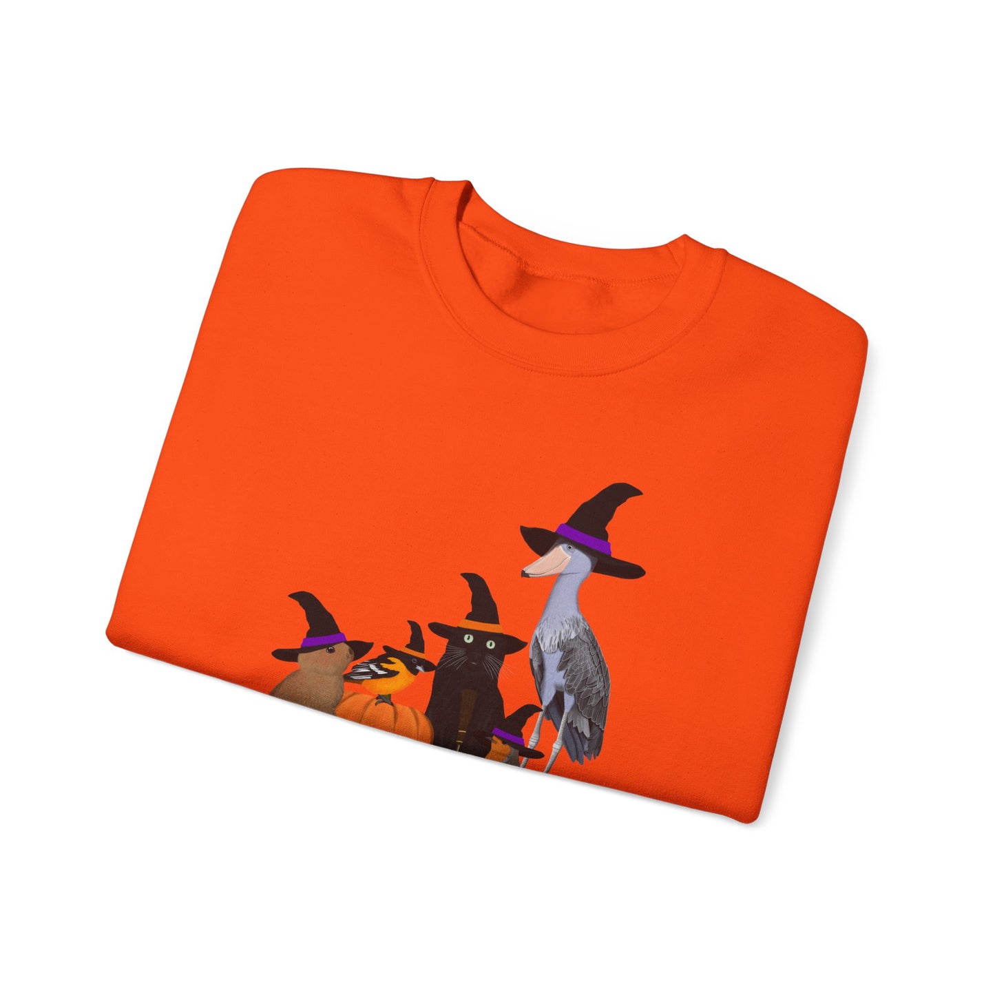 Robin Shoebill Oriole Rabbit with Cat Halloween Birds Sweatshirt