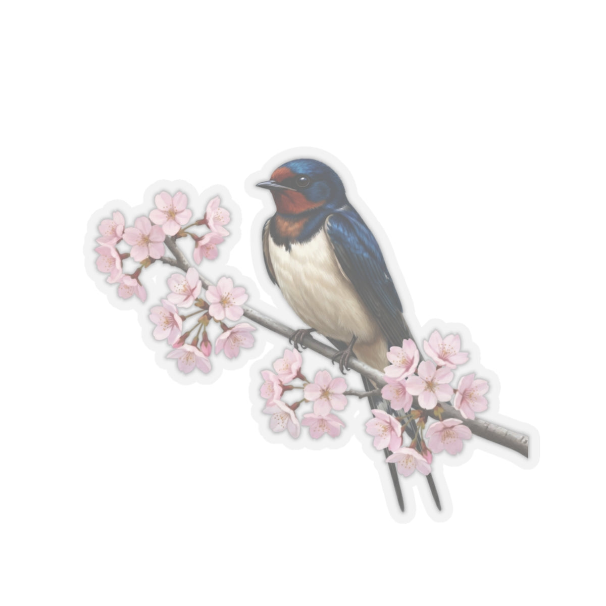 Barn Swallow Stickers on bird sticker background