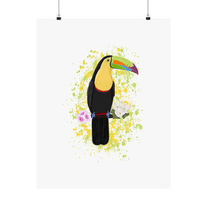 Keel-Billed Toucan Bird Artwork Matte Poster