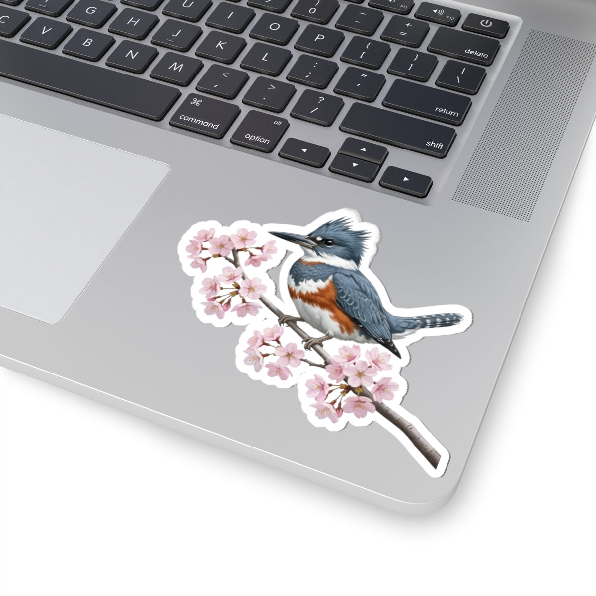 Belted Kingfisher Stickers – bird sticker and cherry blossoms style