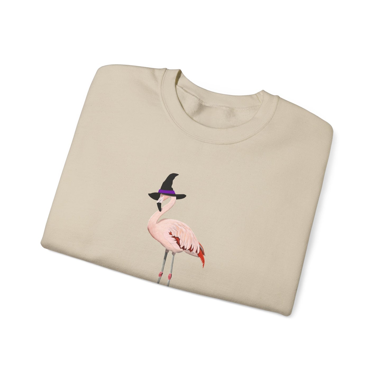 Flamingo Halloween Birds Witch Birdwatcher Sweatshirt