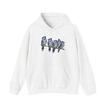 Blue Jays Hoodie Bird Lover & Bird Watcher | Unisex Sweater | Gift for Bird Lovers