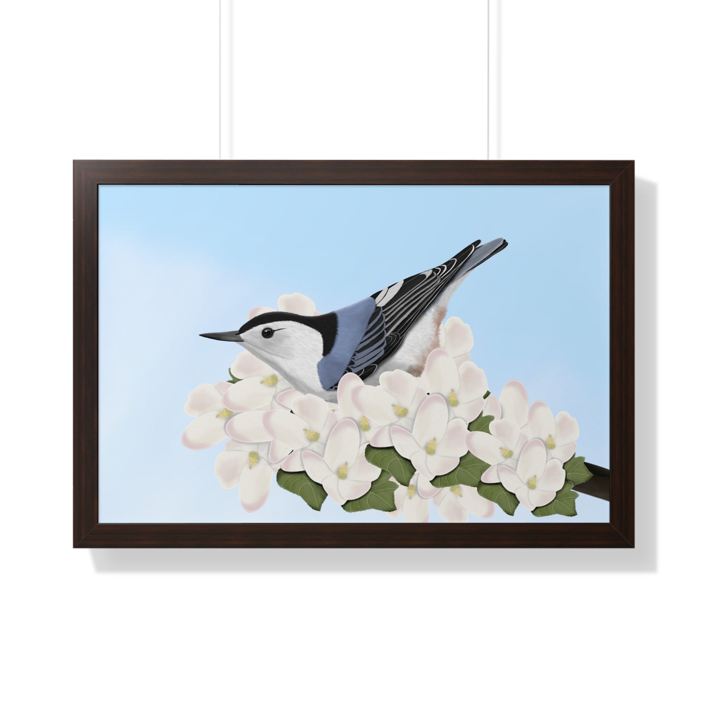 Nuthatch Spring Blossoms Bird Framed Poster