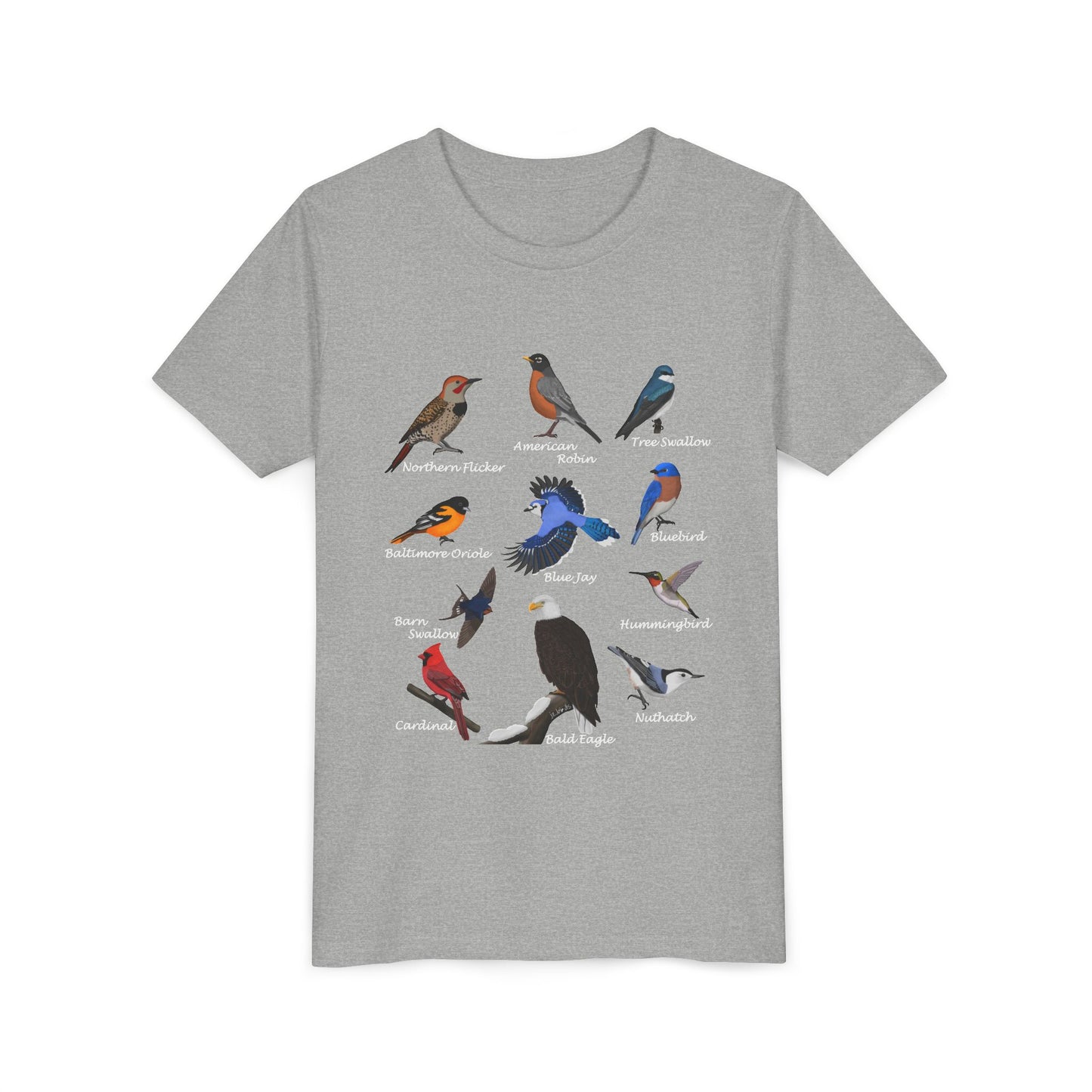 Bald Eagle Blue Jay Cardinal Oriole Hummingbird Birding & Birdwatching Bird Youth T-Shirt