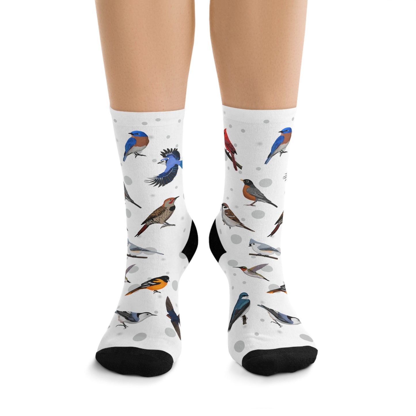Cardinal Robin Bluebird Bird Socks White for Bird Lovers One Size