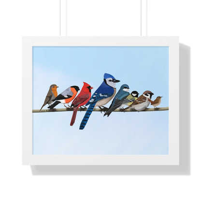 Garden Birds Blue Jay Cardinal Bullfinch Spring Blossoms Bird Framed Poster