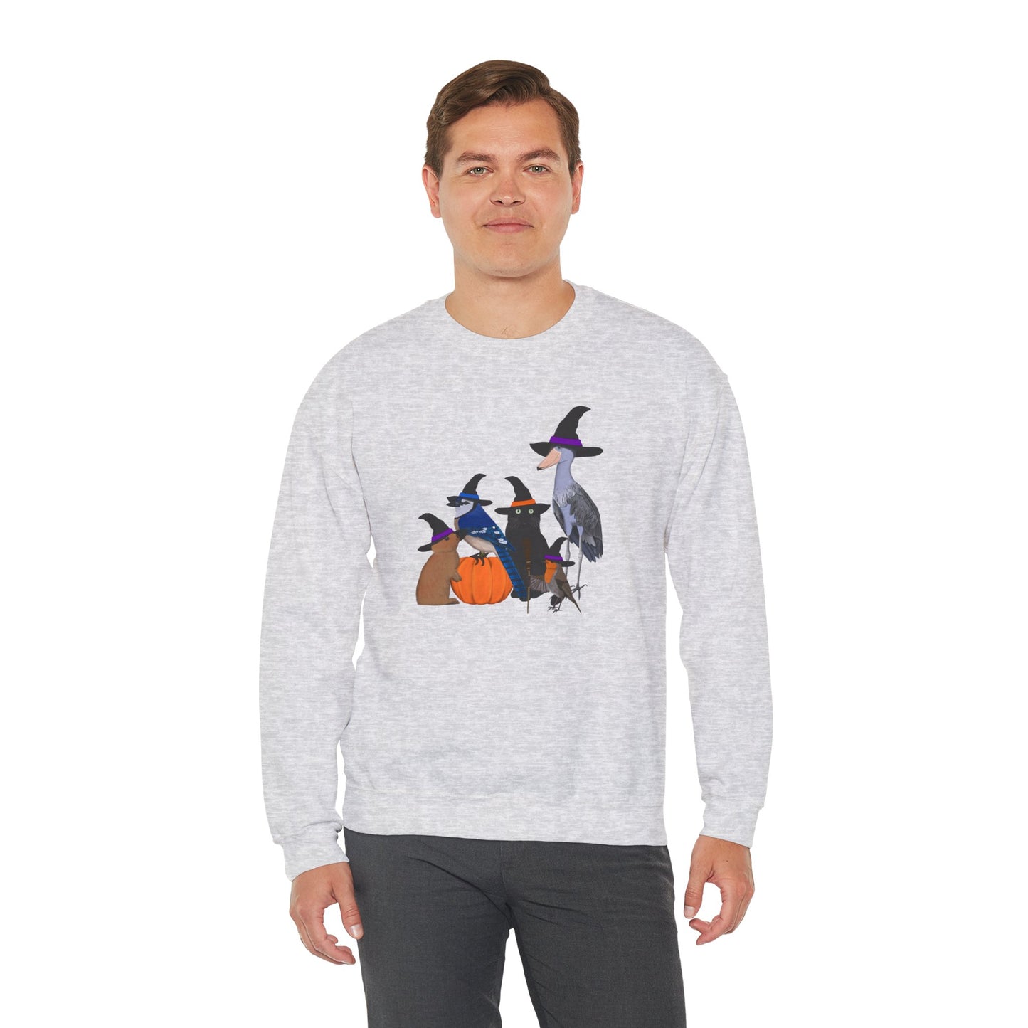 Robin Shoebill Blue Jay Rabbit with Cat Happy Halloween Birds Sweatshirt