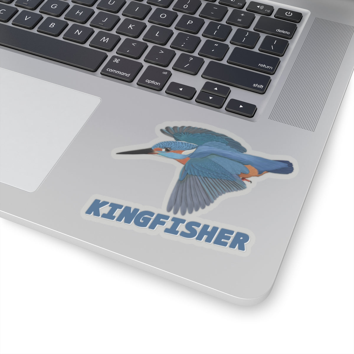 Kingfisher Sticker Bird Lover & Bird Watcher