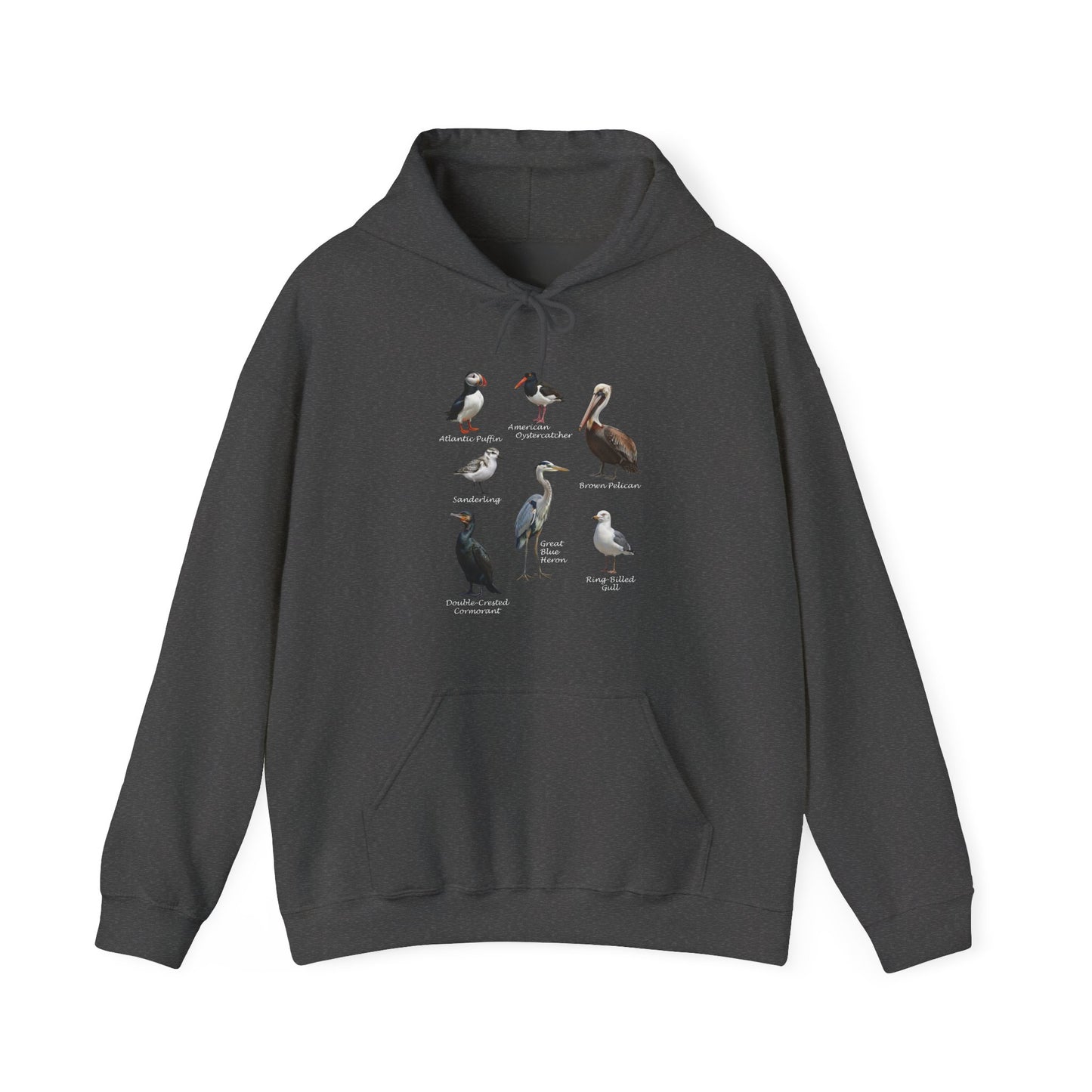 North American Shorebirds Hoodie – Pelican, Heron & Seagull