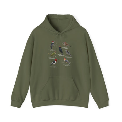 Woodpecker Field Guide Hoodie | Birding & Wildlife Pullover – bird
