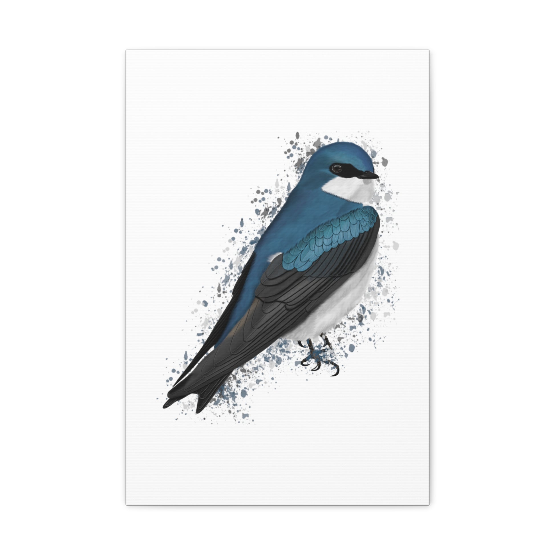 tree swallow bird canvas gallery wrap