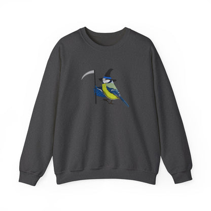 Blue Titmouse Halloween Birds Witch Birdwatcher Sweatshirt