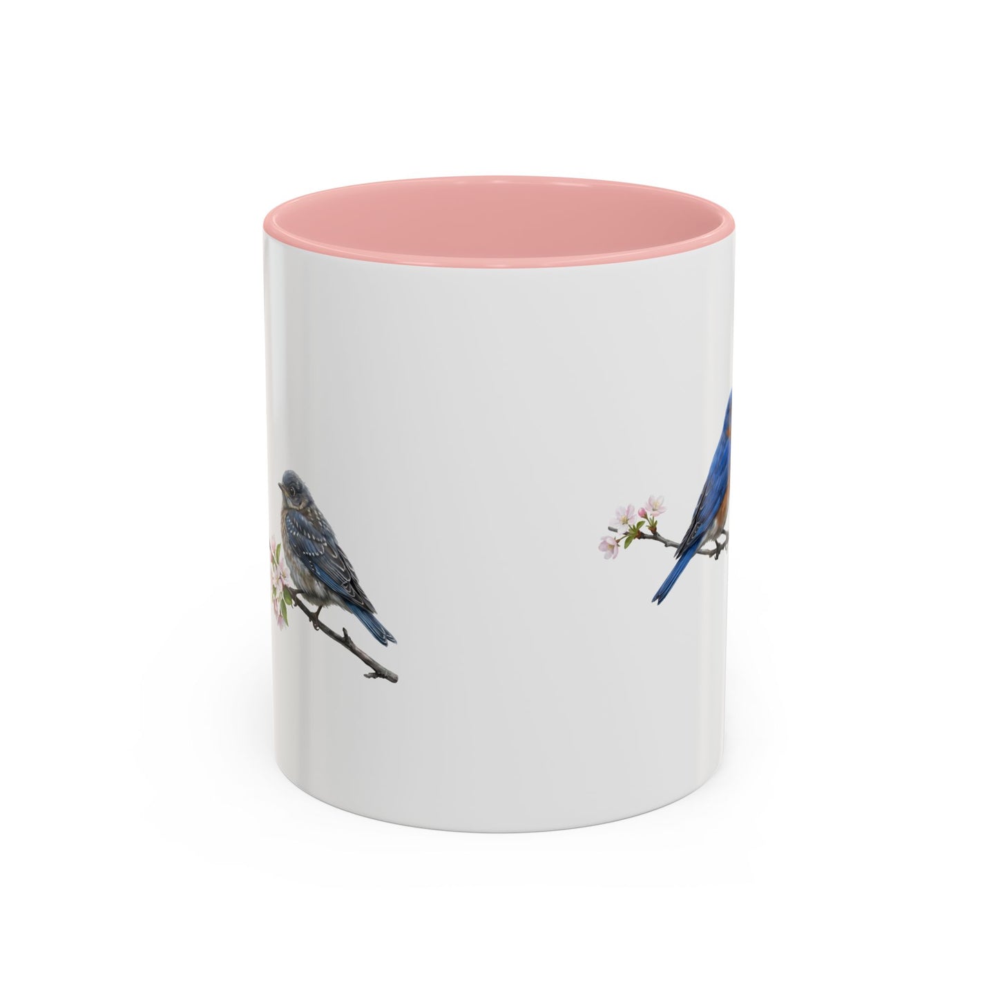 Eastern Bluebird & Fledgling Two-Tone Mug | Spring Bird Lover Gift