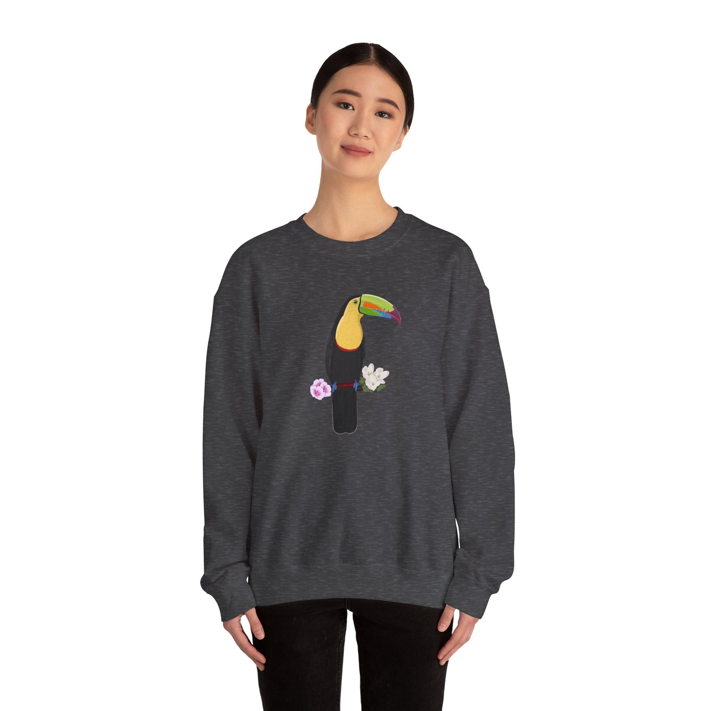 Keel-Billed Toucan Birdlover Ornithologist Bird Sweatshirt