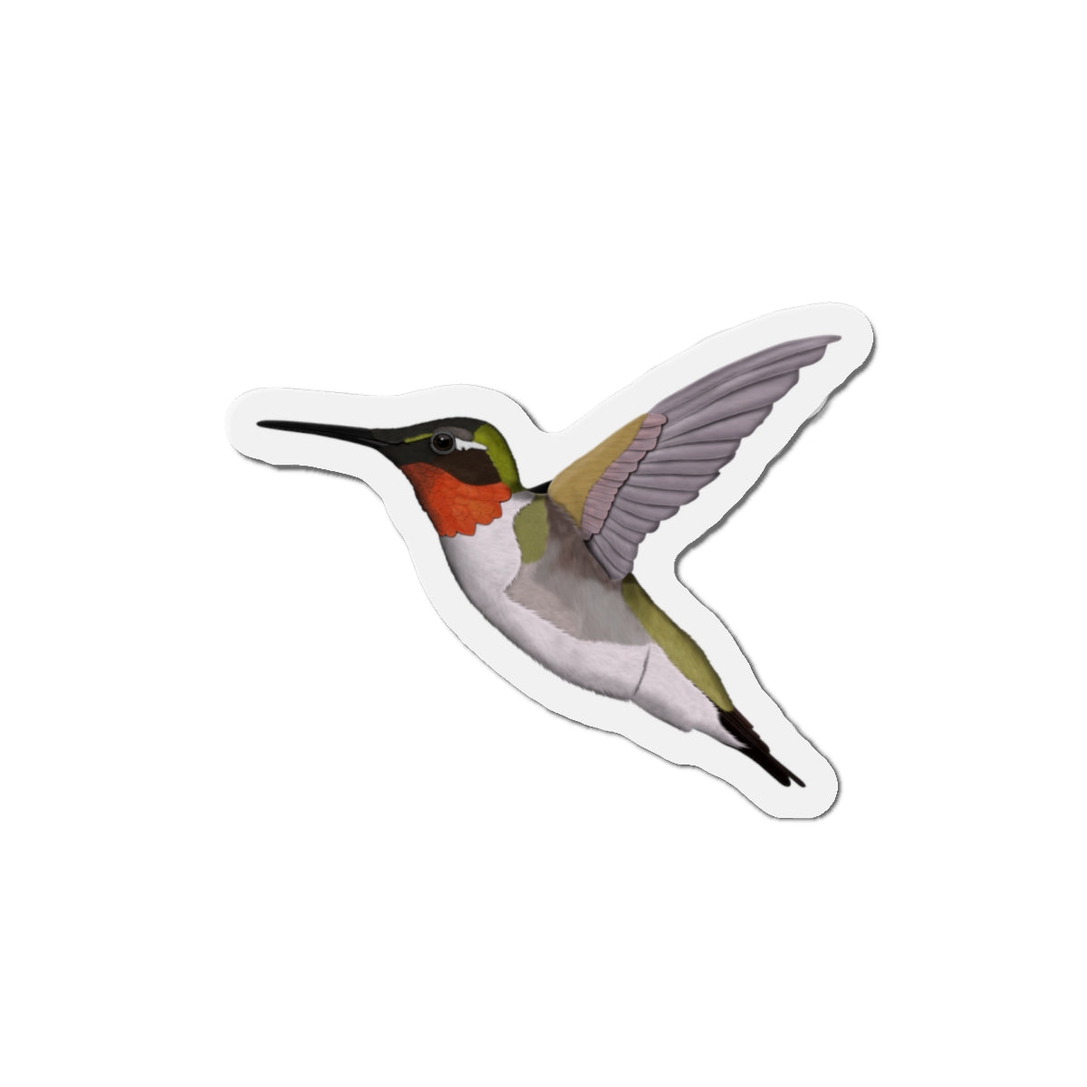 Hummingbird Bird Magnet