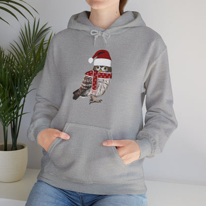 Owl Christmas Bird with Santa Hat Birdwatcher Birdlover Hoodie