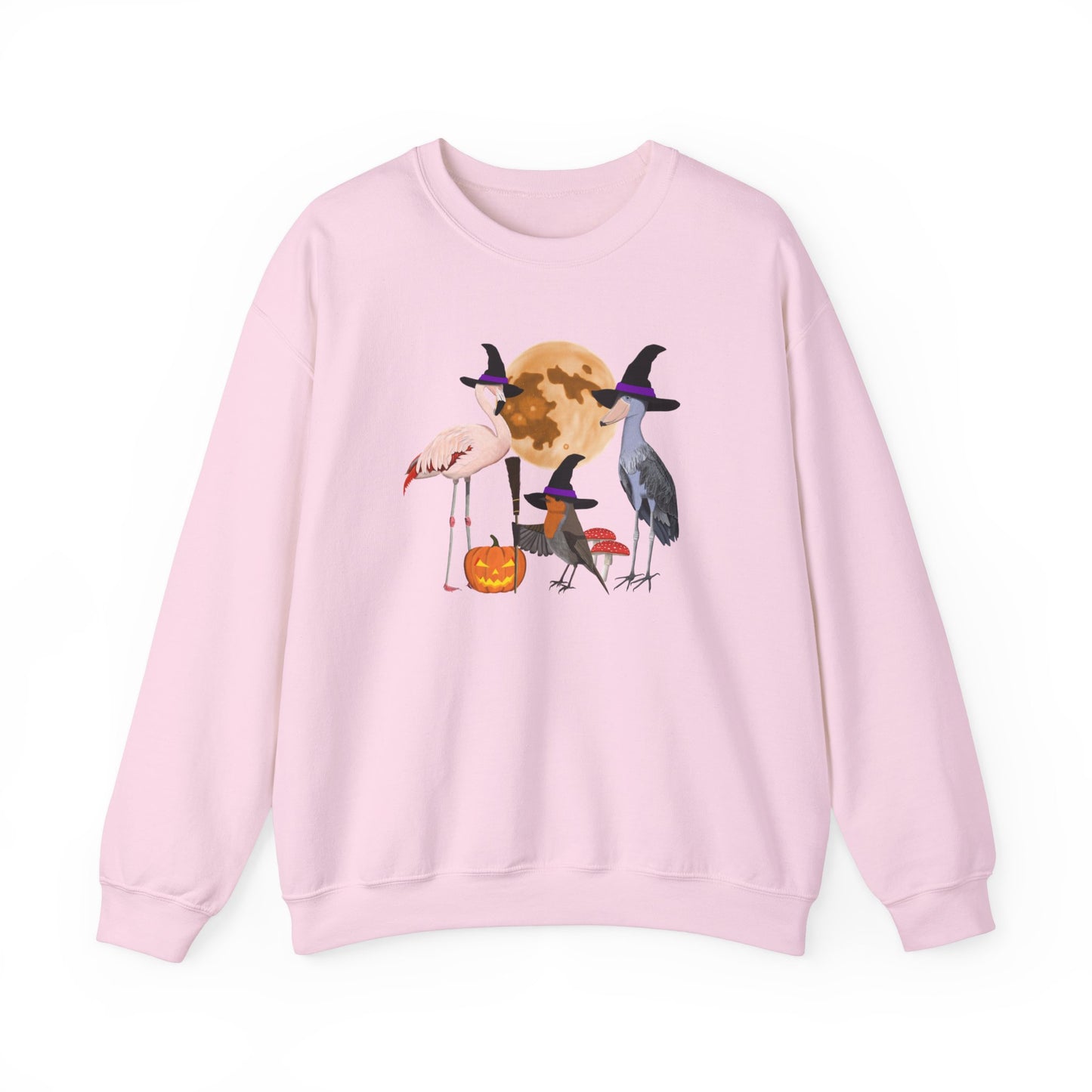 Robin Flamingo Shoebill Halloween Birds Witch Birdwatcher Sweatshirt