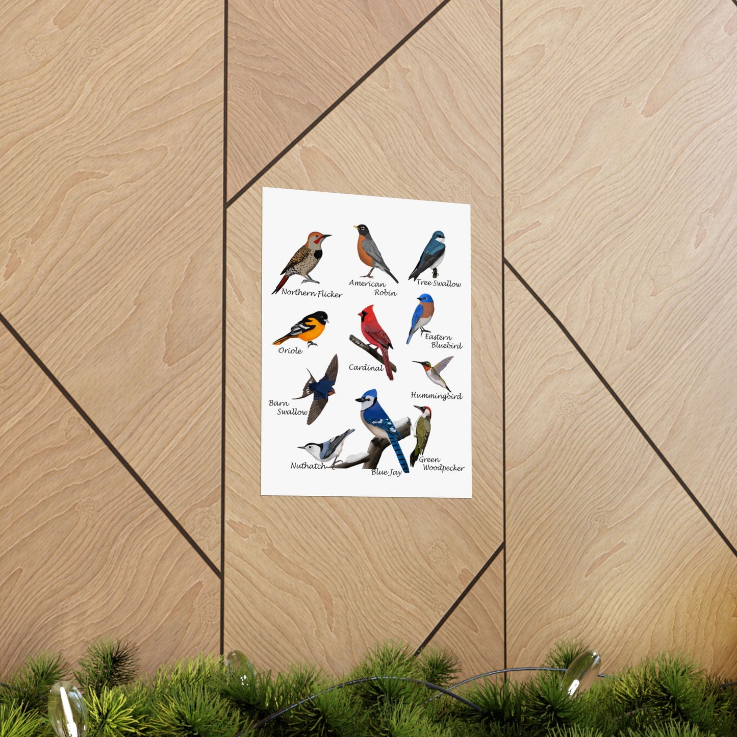 Backyard Birds Blue Jay Cardinal Hummingbird Bluebird Oriole Robin Matte Bird Poster